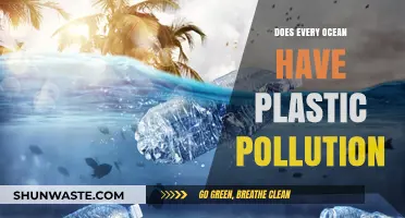Plastic Pollution: Is Any Ocean Safe?