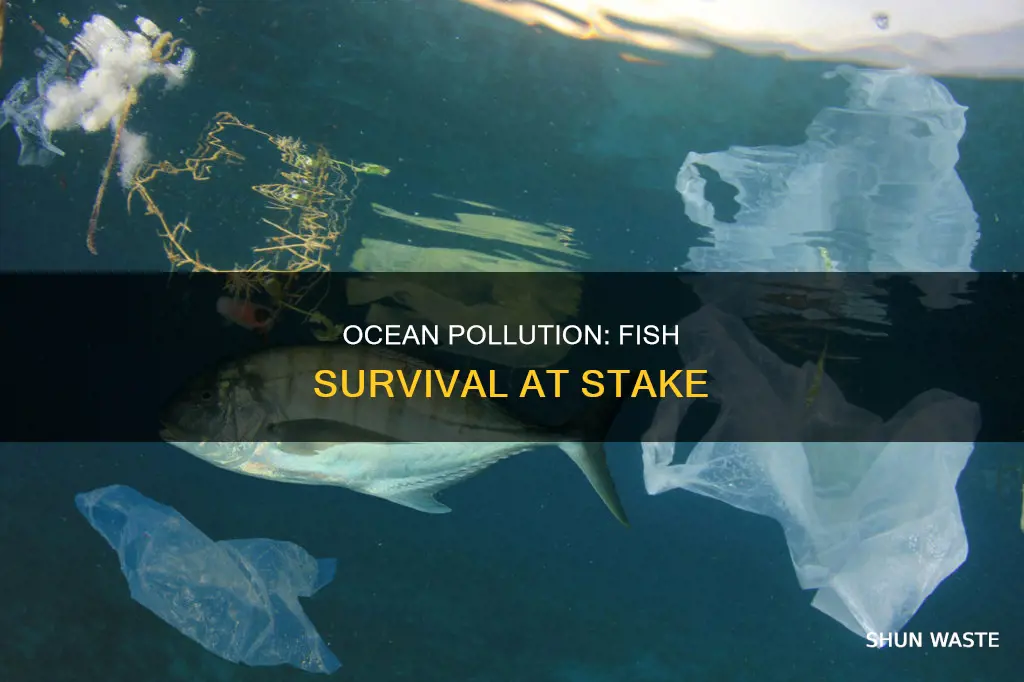 does every time we pollute the ocean one fish die