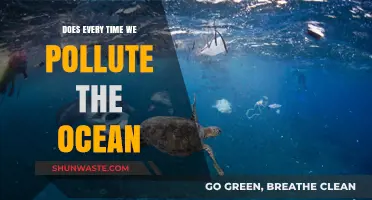 Ocean Pollution: Our Actions, Their Consequences