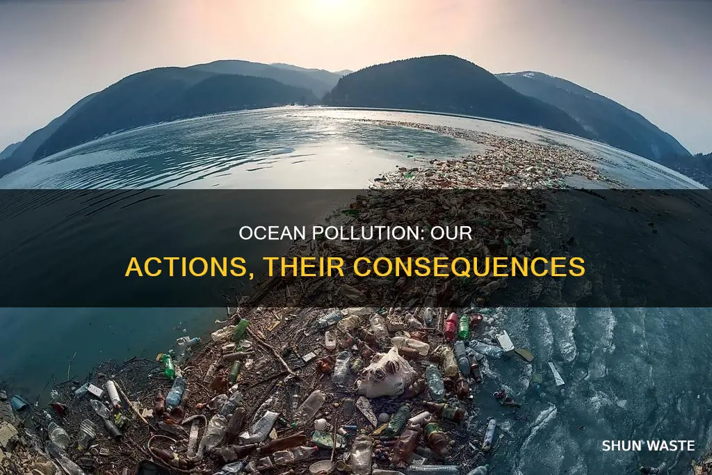 does every time we pollute the ocean