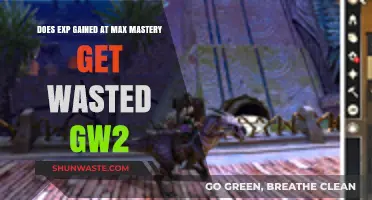 Max Mastery Exp in GW2: Wasted or Worthwhile?