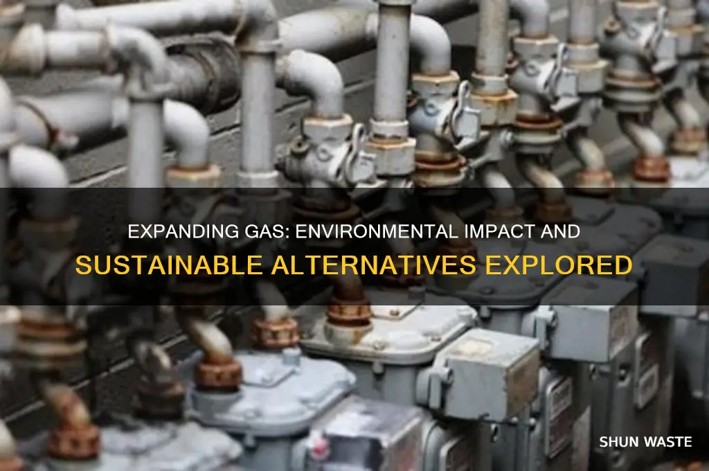 does expanding gas always to work on environment
