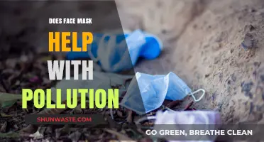 Face Masks: Pollution Protection or Myth?