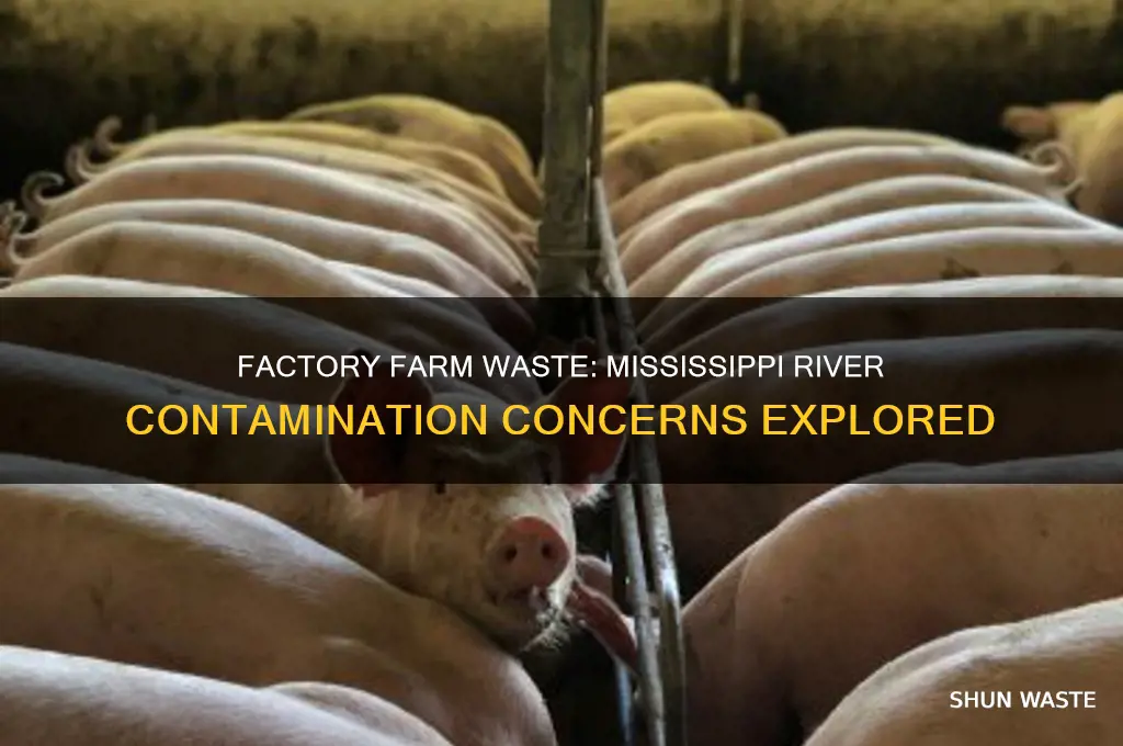 does factory farm animal waste seep into the mississippi river