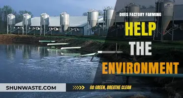 Factory Farming's Environmental Impact: Sustainable Solution or Ecological Disaster?