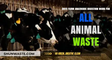 Anaerobic Digestion: Effective Solution for All Animal Waste Types?