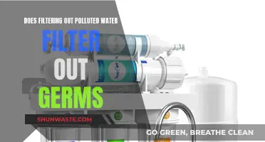 Water Filtration: Germs, Pollution, and the Filter's Role