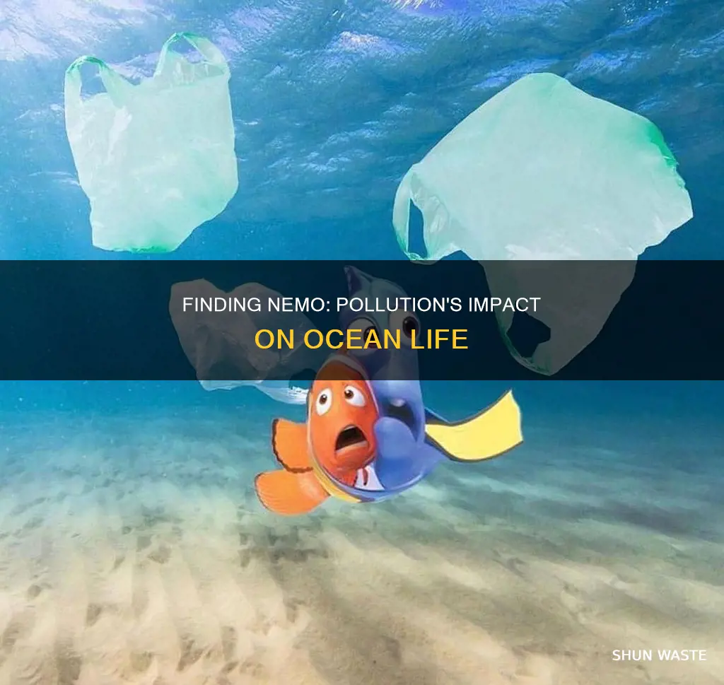 does finding nemo show pollution