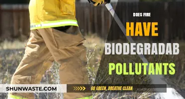Fire's Biodegradable Pollutants: Understanding the Impact