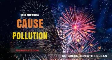 Fireworks' Impact: Unveiling the Environmental Cost of Celebration