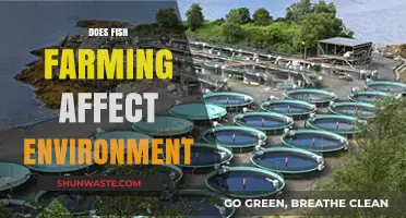 Fish Farming's Environmental Impact: Sustainable or Harmful Practice?