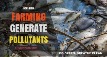 Fish Farming: Pollutants and Environmental Impact