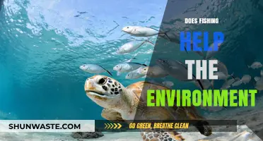 Fishing's Environmental Impact: Harmful Practice or Eco-Friendly Activity?