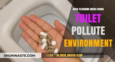 Flushing Medication: A Hazardous Practice for Our Environment