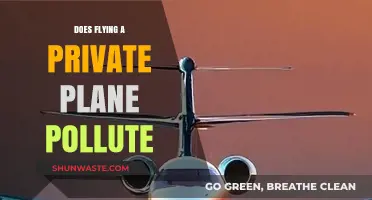 Private Jet Pollution: How Bad Is It?