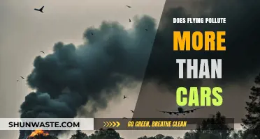 How Green is Flying? Aviation vs Cars