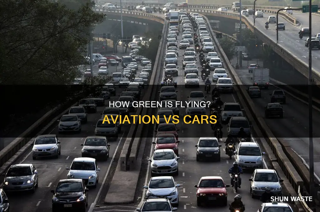 does flying pollute more than cars