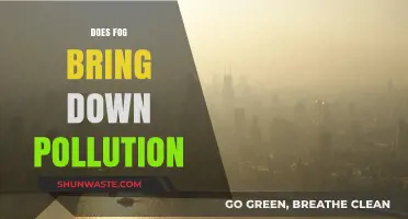 Fog's Effect: Reducing Pollution or a Myth?