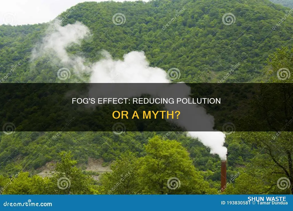 does fog bring down pollution