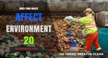 Food Waste's Environmental Impact: 20 Key Facts and Solutions