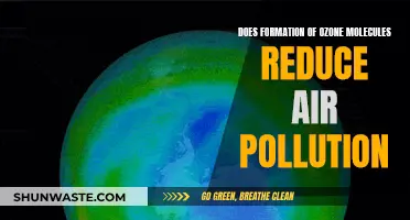 Ozone Molecules: Friend or Foe in the War on Air Pollution?