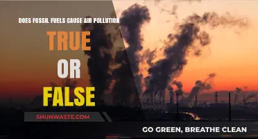 Unveiling the Truth: Fossil Fuels and Air Pollution