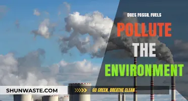 Fossil Fuels: Polluting Our Planet?
