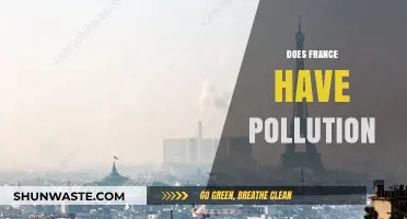 France's Pollution Problem: A Comprehensive Overview