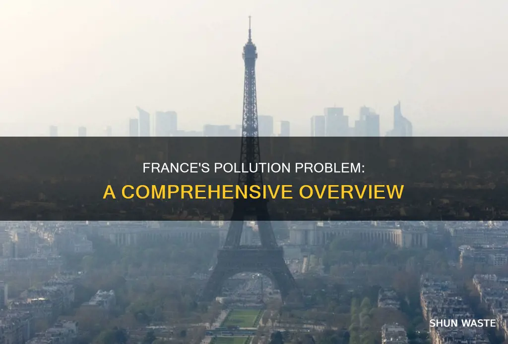 does france have pollution