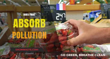 How Fruit Absorbs Pollution: A Health Risk?