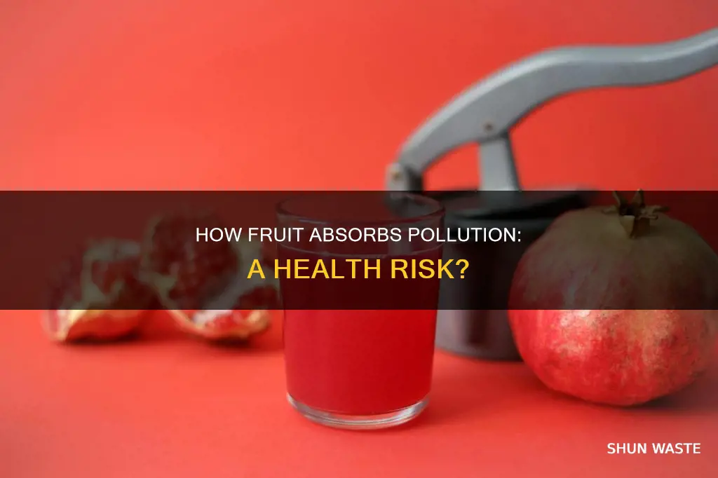 does fruit absorb pollution
