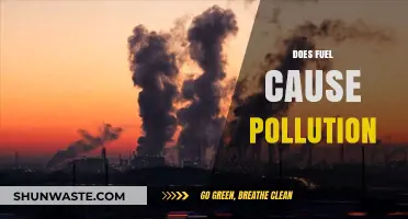 Unveiling the Fuel-Pollution Connection: A Comprehensive Analysis