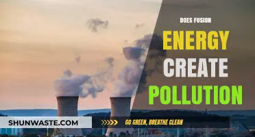 Fusion Energy: Pollution-Free Power Source?