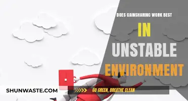 Gainsharing in Unstable Environments: Effective Strategy or Risky Approach?