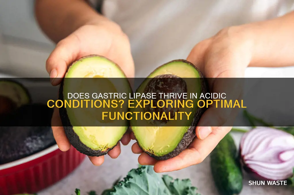 does gastric lipase work best in an acidic environment