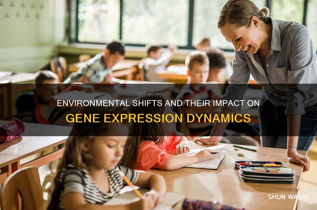 does gene expression change as the environment changes