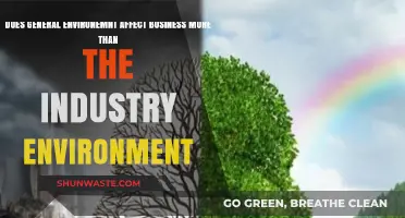 General vs. Industry Environment: Which Impacts Business Success More?