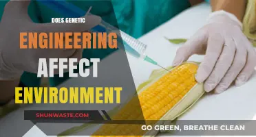 Genetic Engineering's Environmental Impact: Benefits, Risks, and Future Concerns