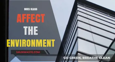Glass's Environmental Impact: Sustainable Choice or Hidden Hazard?