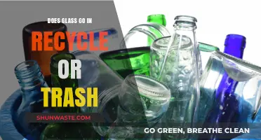 Glass Recycling Guide: Trash or Recycle Bin for Glass Items?
