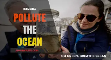 How Glass Pollution Impacts Ocean Ecosystems