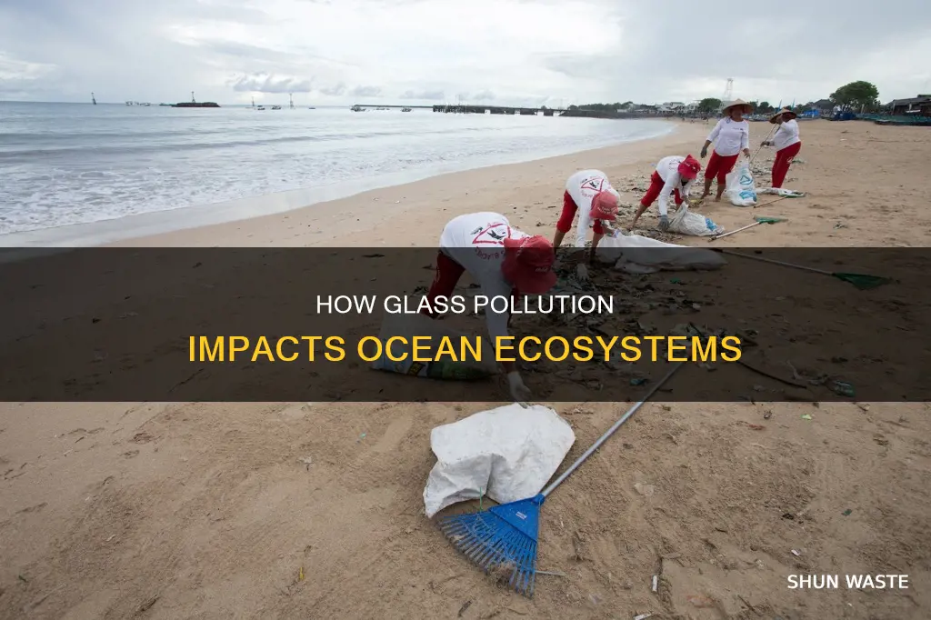 does glass pollute the ocean