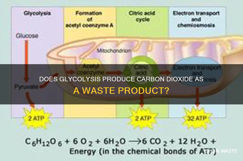 does glycolis release carbon dioxide as waste
