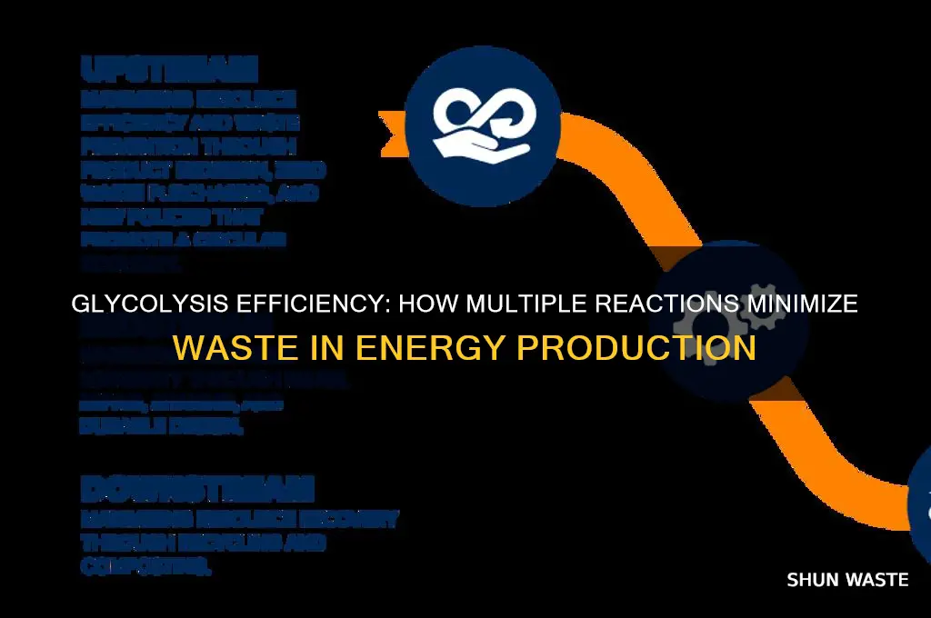 does glycolysis uses many reactions to minimize waste