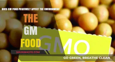 GM Foods: Environmental Benefits or Just a Green Myth?