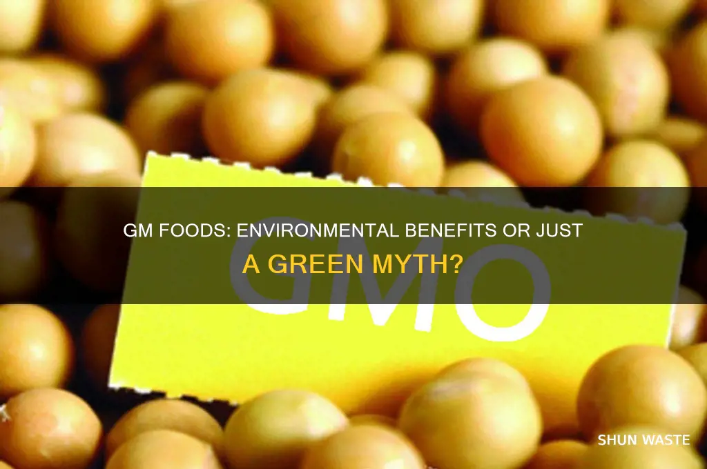 does gm food positively affect the environment the gm food