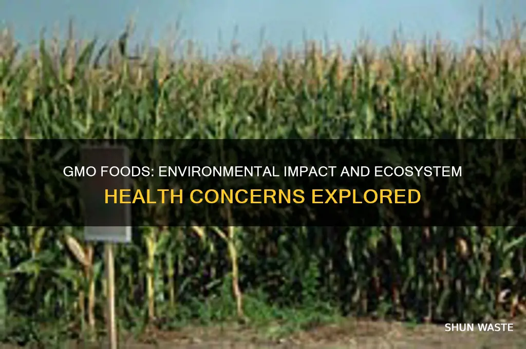 does gmo food affect the health of the environment