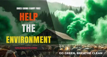 Dairy-Free Living: A Sustainable Choice for Our Planet's Future?