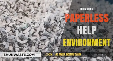 Going Paperless: A Sustainable Choice for Environmental Conservation?