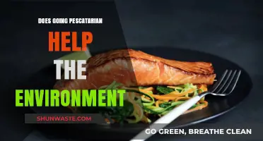 Pescatarian Diet: A Sustainable Choice for Environmental Impact?